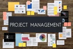 MBA Project Management